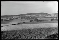 dsc_5245.jpg